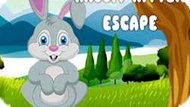 Play Rabbit Kitten Escape game online for free | 4GameGround.com