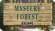 Play Mystery Forest game online for free | 4GameGround.com